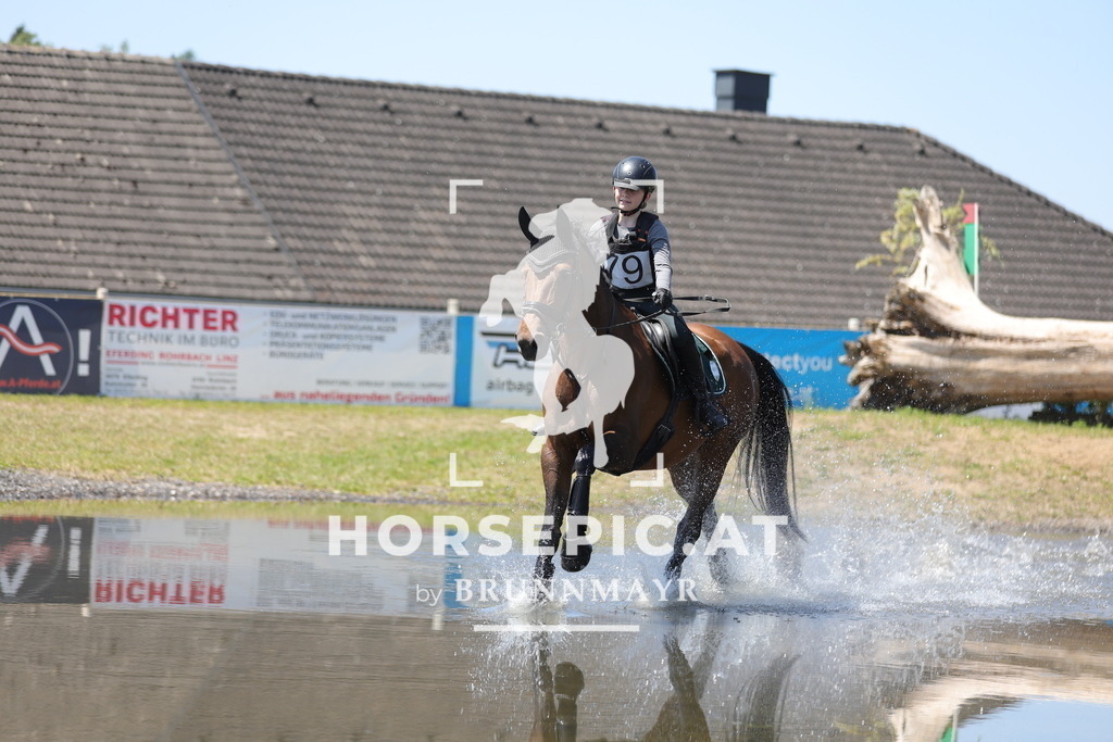0P6A4985 | Willkommen bei Brunnmayr - Design & Fotografie – Ihrem Spezialisten für Reitturniere und Pferdeveranstaltungen in Oberösterreich, Salzburg und Bayern! Seit über 17 Jahren sind wir leidenschaftlich dabei.