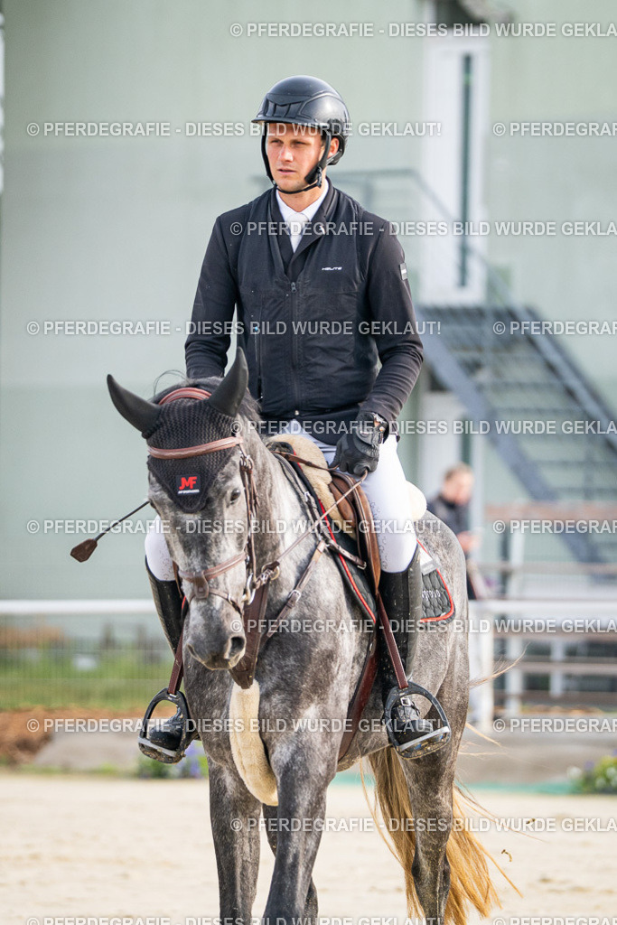 DSC07672 | Pferdegrafie