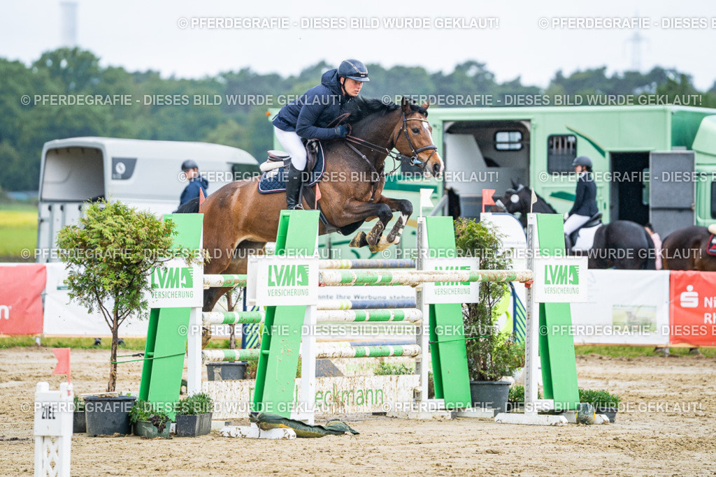 DSC03802 | Pferdegrafie