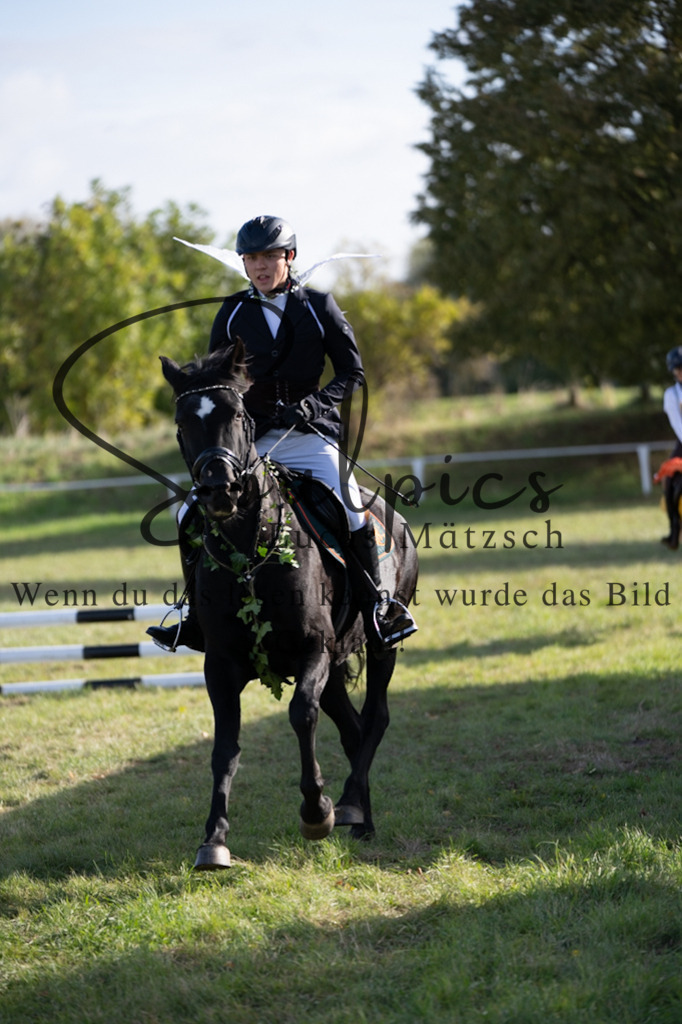 A7V06624 | Pferdefotograf