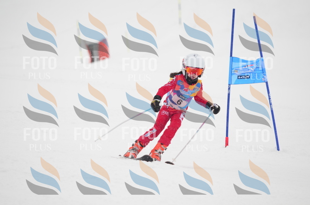 C0558 | holidayphoto