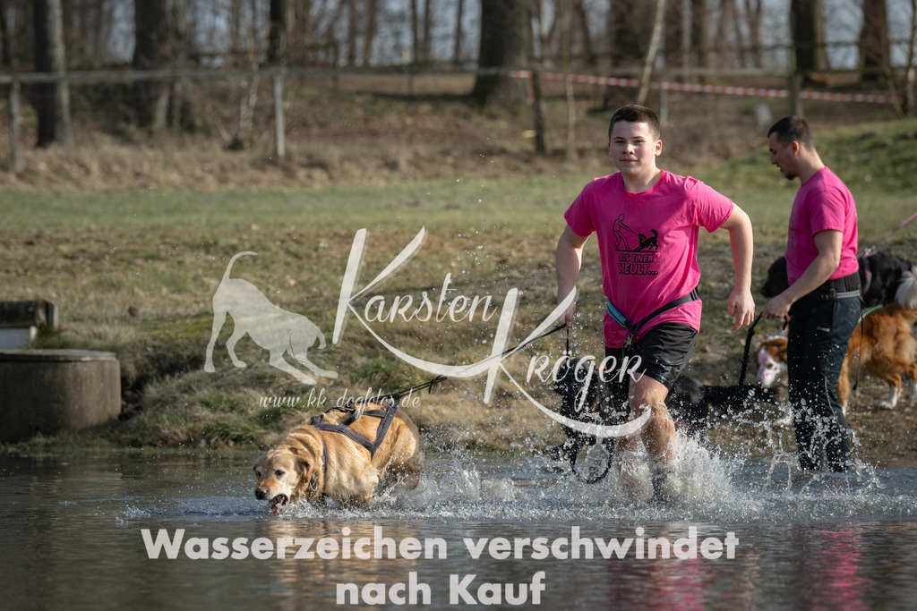 1410_ZZ99981 | kk-dogfotos