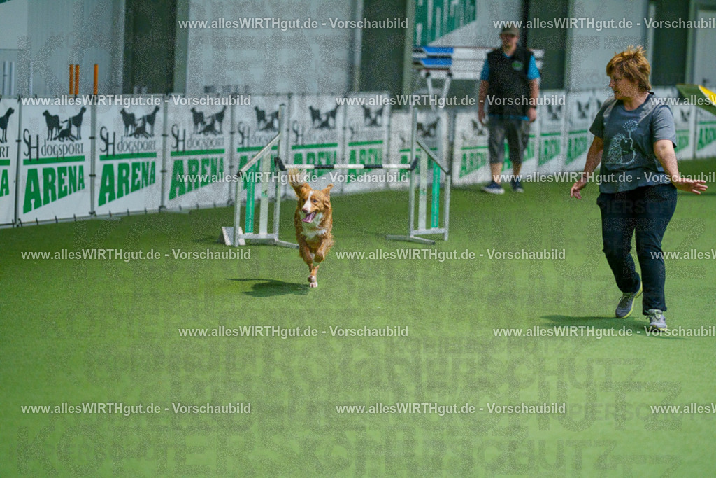 @allesWIRTHgut_Tierfotografie - www.allesWIRTHgut.de - 2604250825-7R506500 | Professionelle Tierfotografie in Mönchengladbach von Daniel Wirth (allesWIRTHgut). Liebevolle & natürliche Bilder von Hunden & Katzen für unvergessliche Erinnerungen.