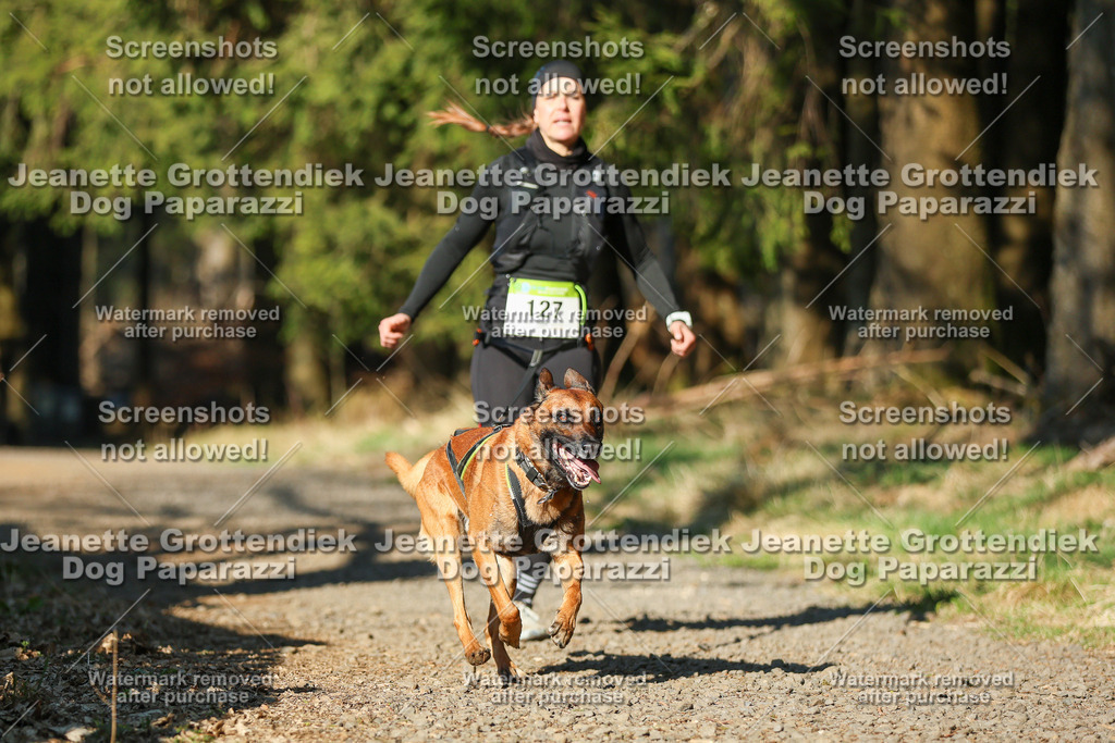 Dog Paparazzi - VCC26-1 | Dog Paparazzi Jeanette Grottendiek Fotografie & Videografie - Realisiert mit Pictrs.com