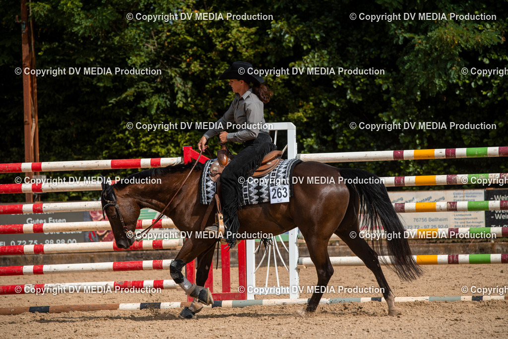 EWP_5917 | dv-media-shop - Realisiert mit Pictrs.com