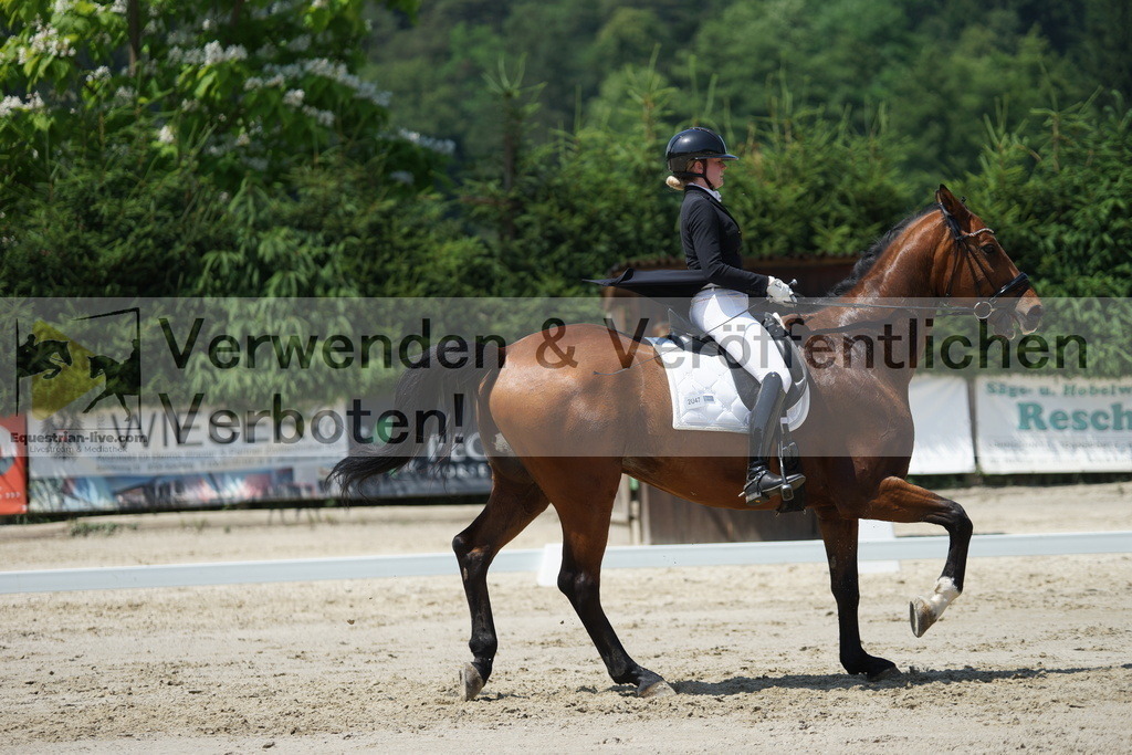DSC05166 | equestrian-live-com