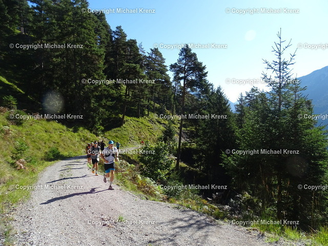 DSC02859 | Michael Krenz