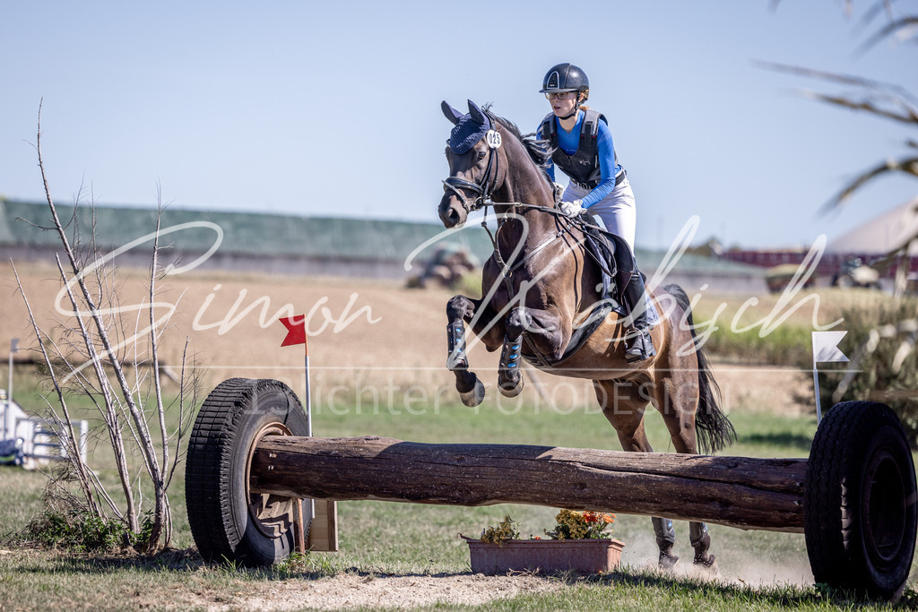 20260906-_3LI4118 | Tierfotografie Pferde, Hunde, Katzen, Haustiere.
Turnierfotografie Reitturniere, Reiten, Springreiten, Dressur in Hanau, dem Main-Kinzig-Kreis und dem Rhein-Main- Gebiet um Frankfurt
