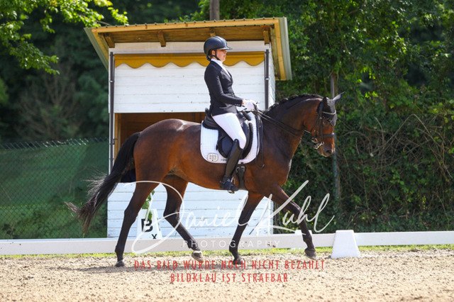 DKP40969 | Turniersportfotografie; Pferdefotografie; Dressurfotografie