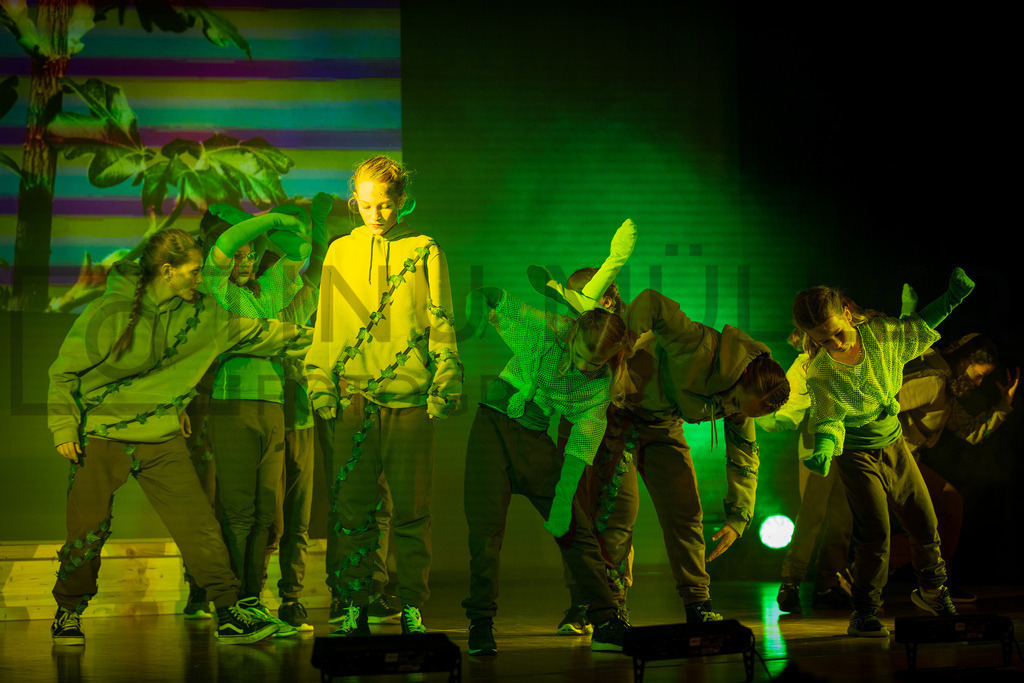 DSC05293 | Tinu Müller Fotografie- Bildershop - Realisiert mit Pictrs.com