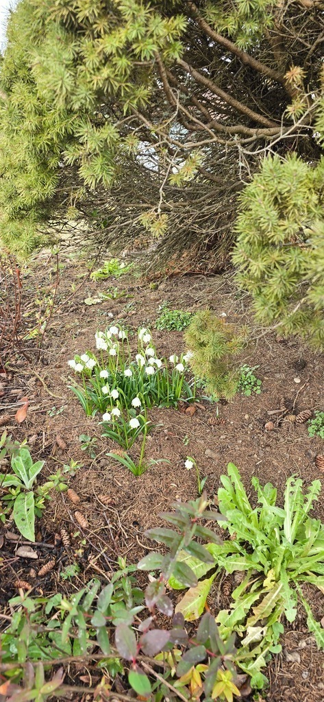 20250226_144536 | Heilkarten - Realisiert mit Pictrs.com