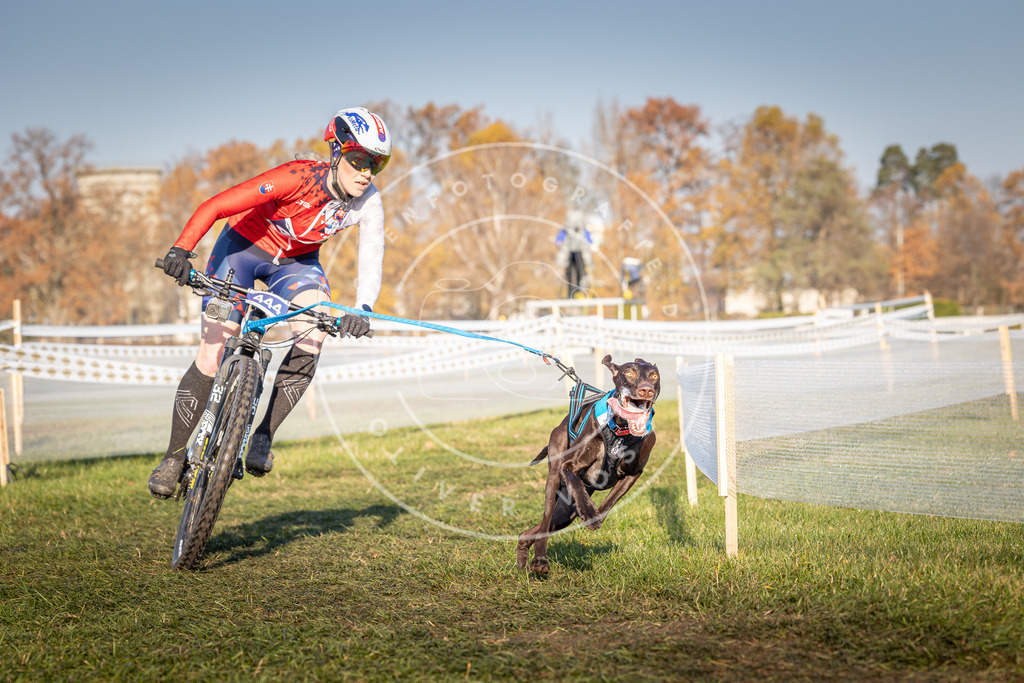 CaniXpix_0L8A4345 | Hundefotografie, Tierfotograf, Pfotenfotografie, Fotoshooting Hund, Hunde Portrait, Hundesport, Hundeportraits, Heideshooting, Hunde, Sportfotograf, Hundefotograf, Turnierhundsport, THS,  - Realisiert mit Pictrs.com