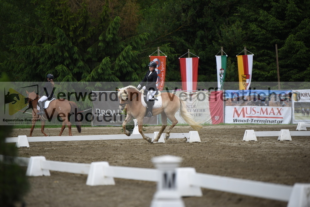 DSC_7809 | equestrian-live-com