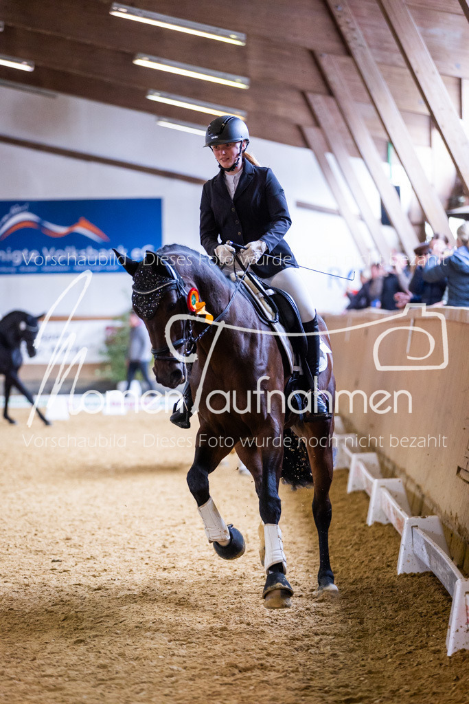 Sth-A-Dre-2St-249 | MomenTaufnahmen Pferdesportfotos