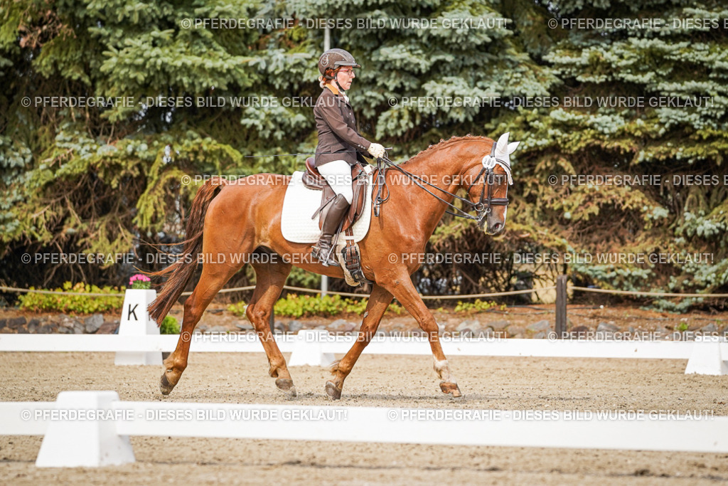 DSC06022 | Pferdegrafie