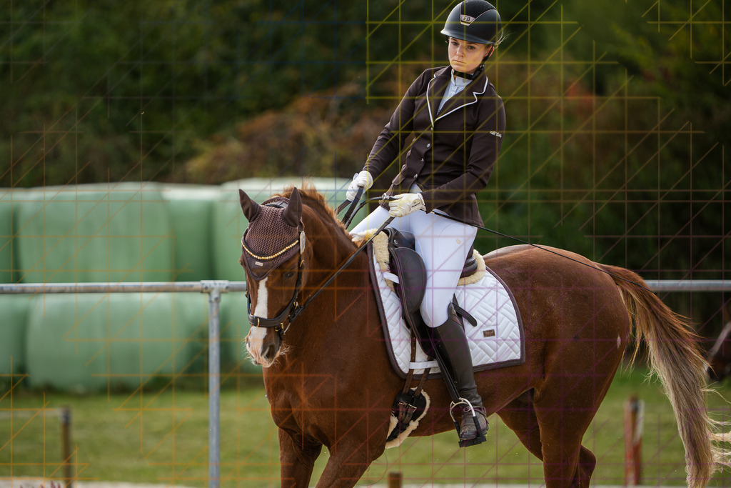 202609261422DSC07781 | Mario Konang lightrecords.de - Realisiert mit Pictrs.com