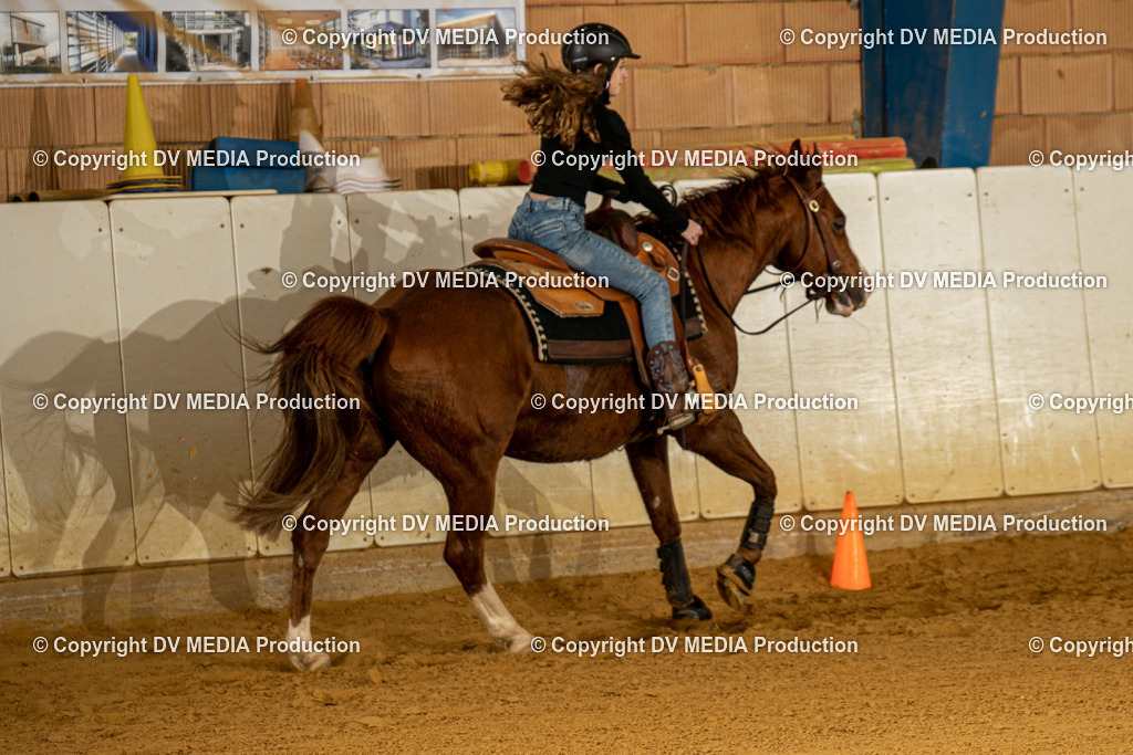 MIT00181 | dv-media-shop - Realisiert mit Pictrs.com