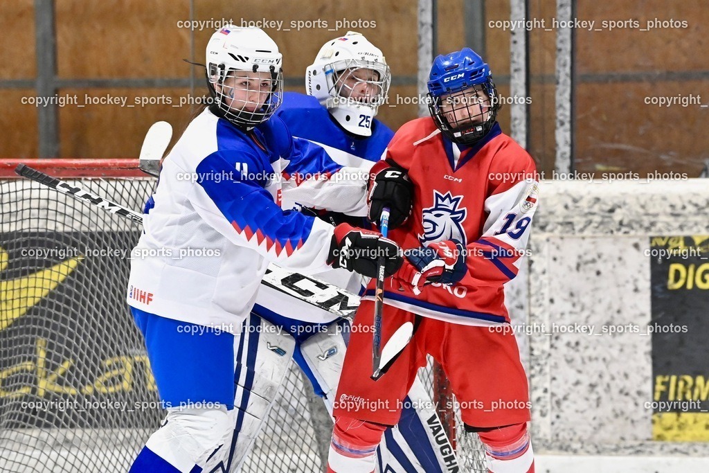 BST_5758 | hockey sports photos, Pressefotos, Sportfotos, hockey247, win 2day icehockeyleague, Handball Austria, Floorball Austria, ÖVV, Kärntner Eishockeyverband, KEHV, KFV, Kärntner Fussballverband, Österreichischer Volleyballverband, Alps Hockey League, ÖFB, 