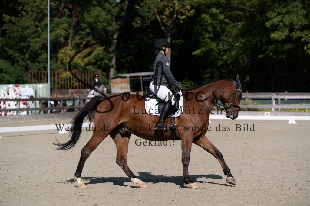 A7V07019 | Pferdefotograf