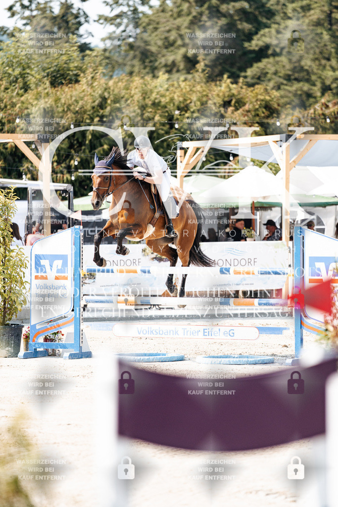 CK902017 | Turnierfotografie Pferdefotografie Trier Rheinland-Pfalz Pferdesport Reitsport Tierfotografie Sportfotografie Pferdevideo Pferdevideografie Equestrianvideography equestrianphotography  - Realisiert mit Pictrs.com