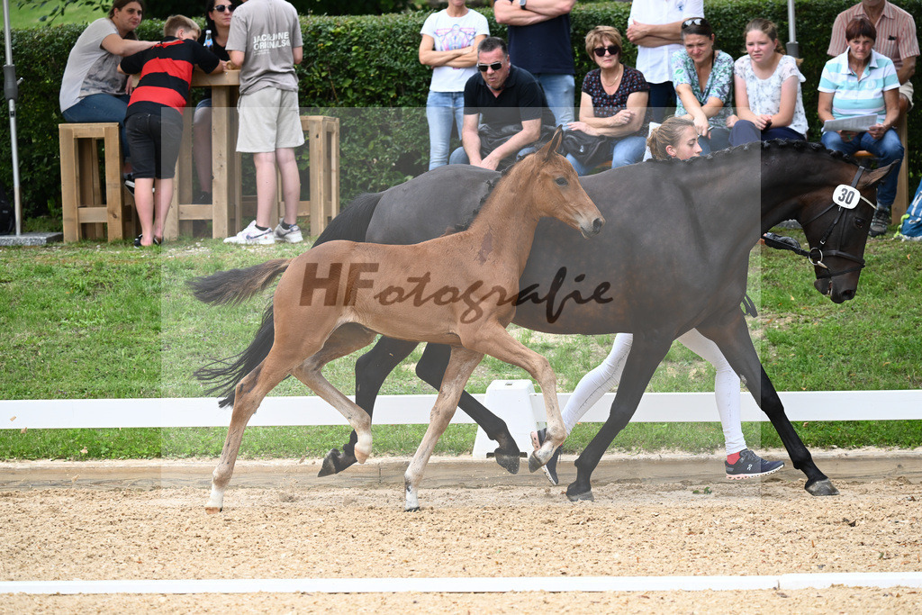 Kat-Nr. 30 SF DSP Va Bene x Follow Me_Fasching_27230435 | hf-fotografie - Realisiert mit Pictrs.com