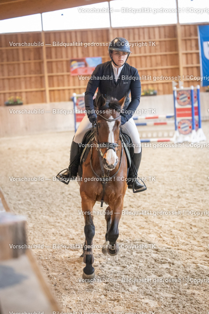 _D5A7641 | Emotionale Pferde- & People-Fotografie rund um Heidelberg, Leimen & Umgebung. Natürliche Fotos von Pferd, Mensch & Familie. Jetzt Termin sichern!