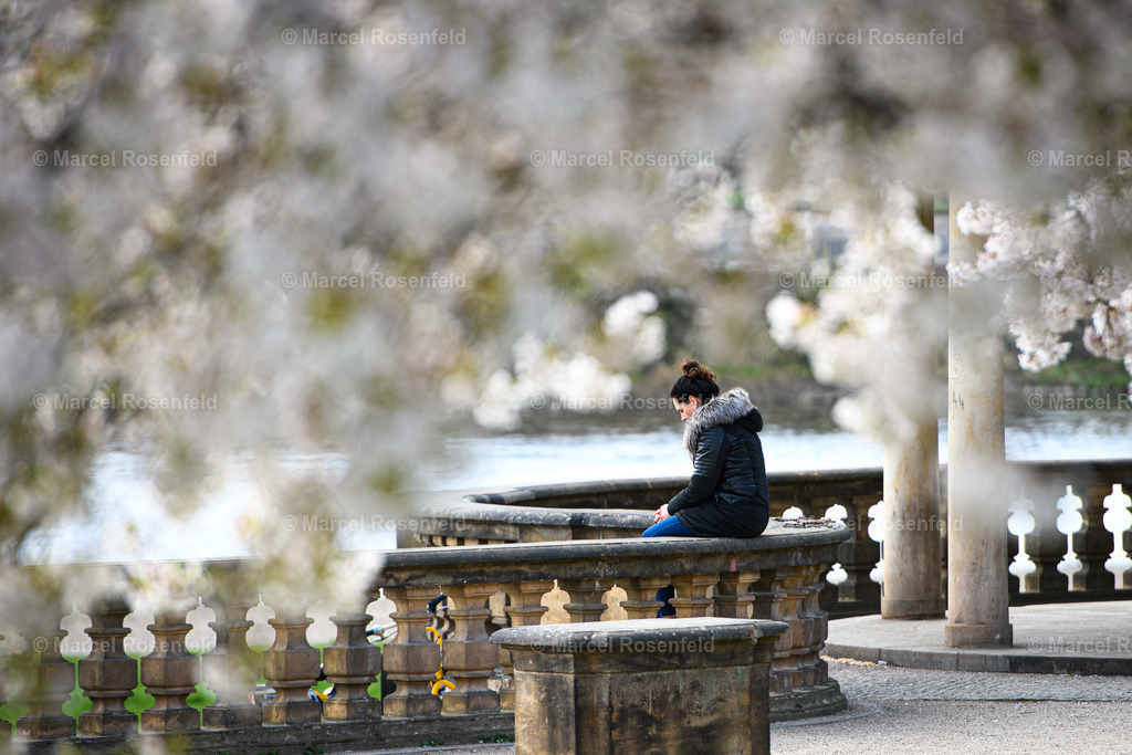 _DSC2490 | foto-rosenfeld