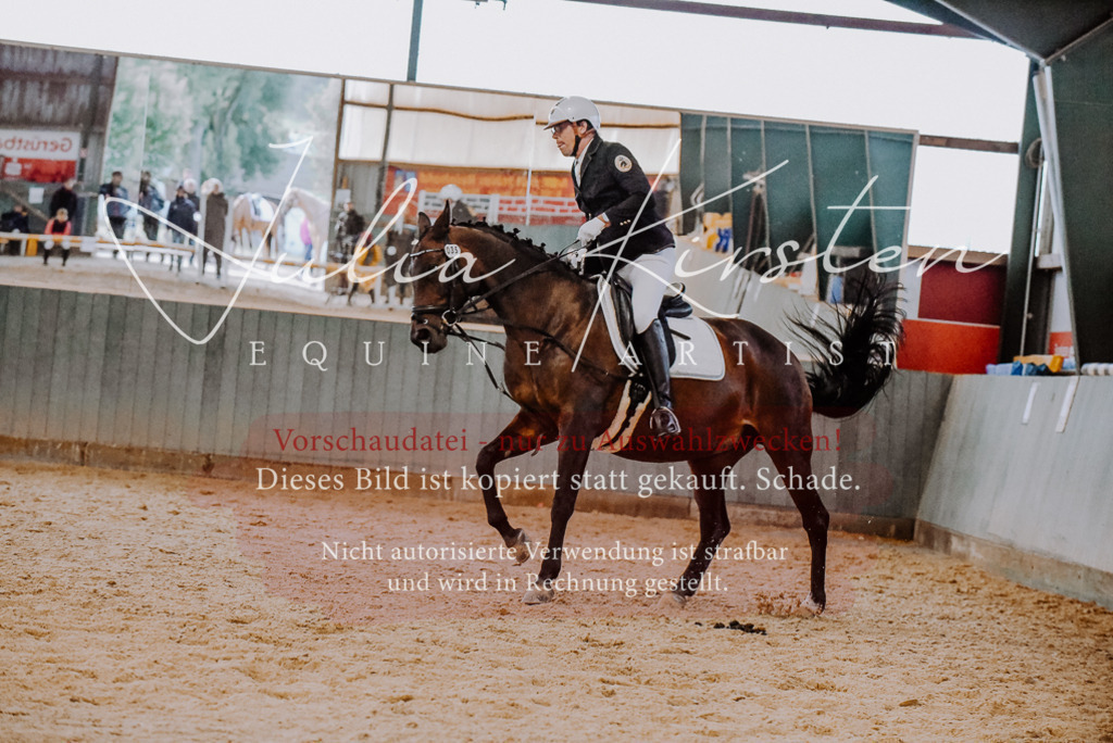 DSC_7709 | Pferde- und Turnierfotografie in Westsachsen. Pferdeportraits, Auftragszeichnungen und intuitive Kunst.