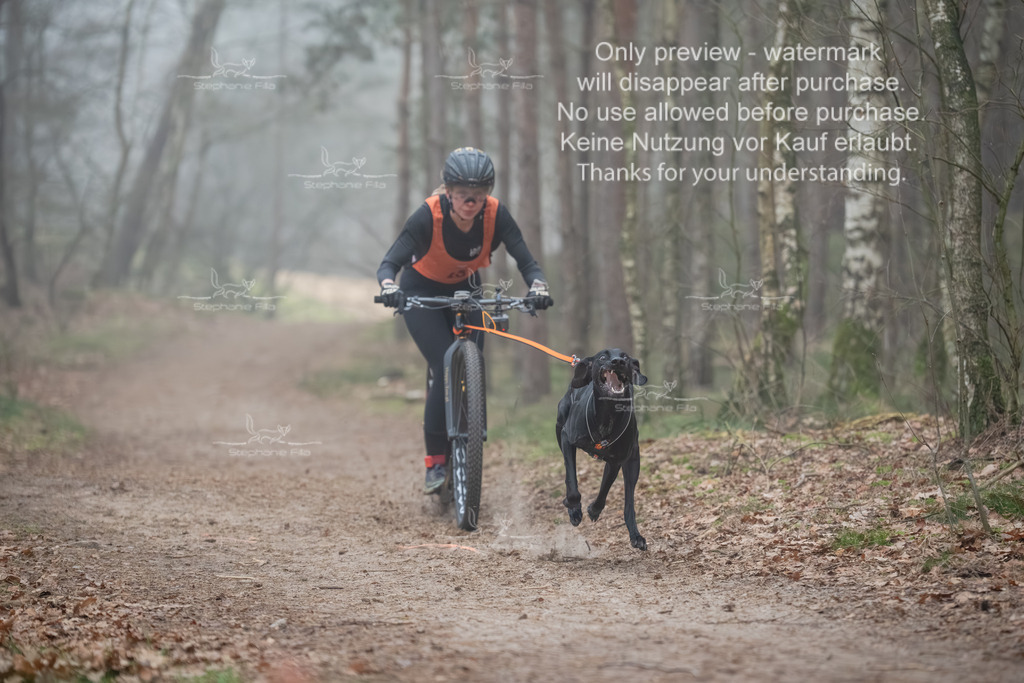 Scooter1-61 | stephaniefillaphotographie - Realisiert mit Pictrs.com