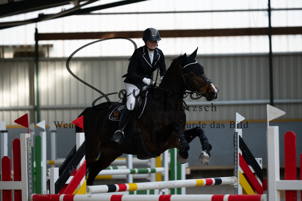 A7V07481 | Pferdefotograf