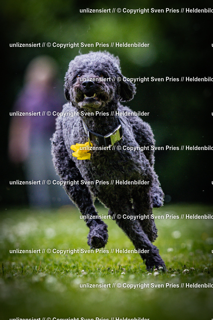 Sven Pries | 2025-05-29 - Pudelrennen KA-Durlach - Realisiert mit Pictrs.com