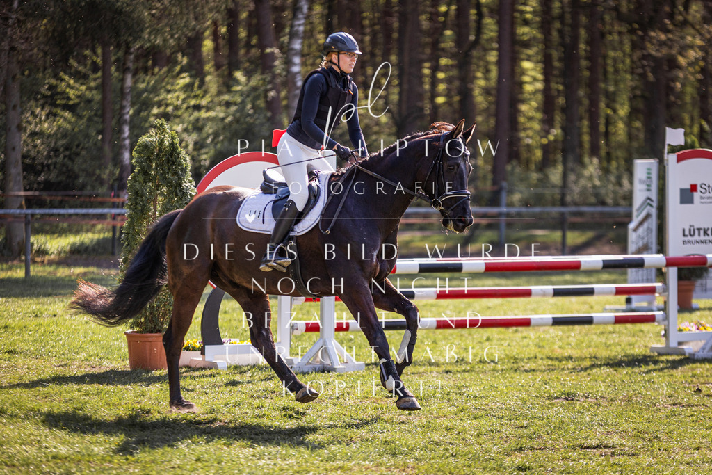 IMGT9193 | pl-fotografie