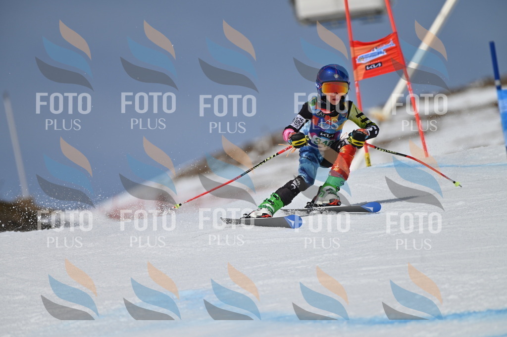 BGV_6818 | holidayphoto