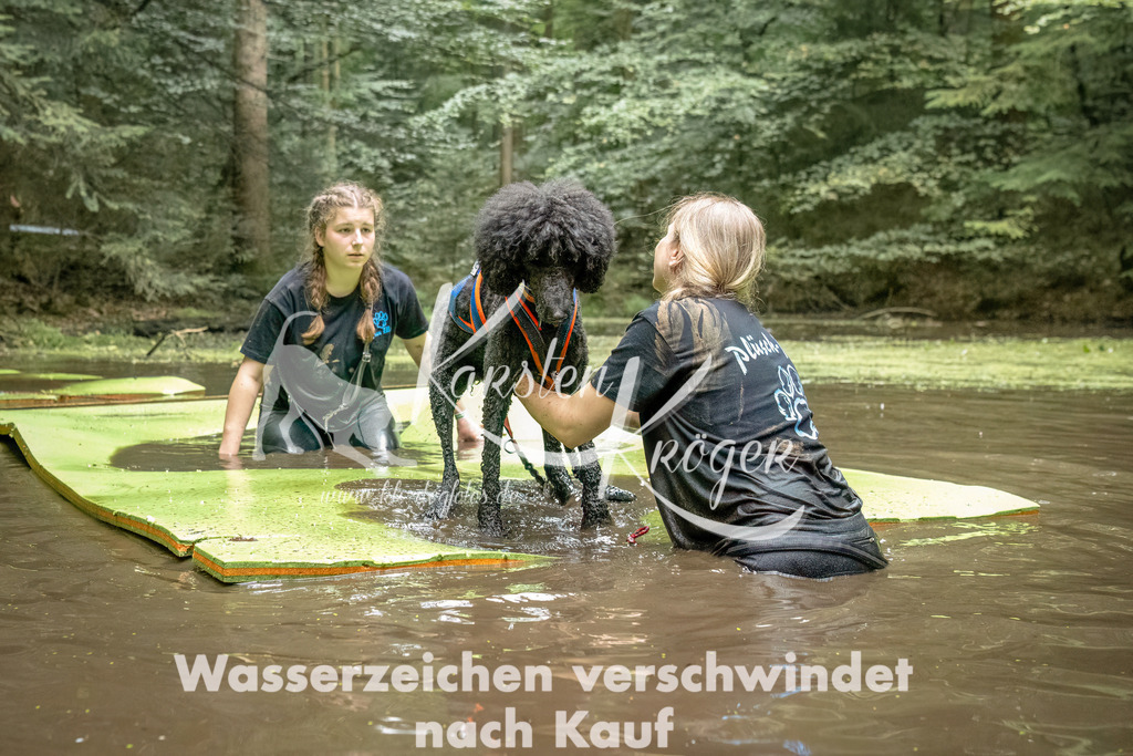 1433_ZZ92725-Bearbeitet | kk-dogfotos
