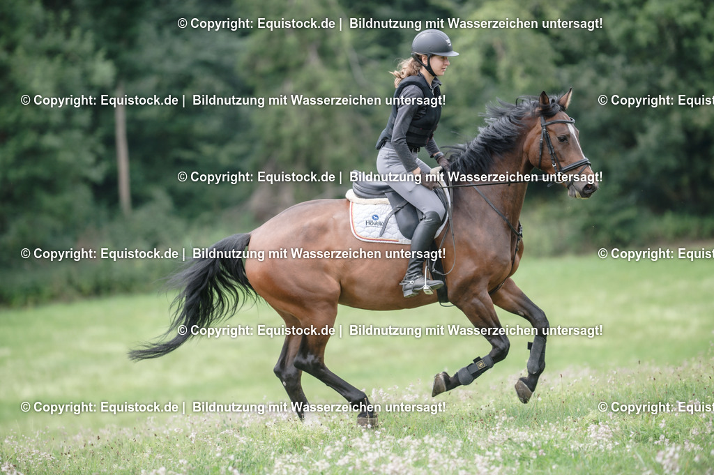 20250726_Vielseitigkeitslehrgang-Marbach_0676 | Foto: Thomas Hartig