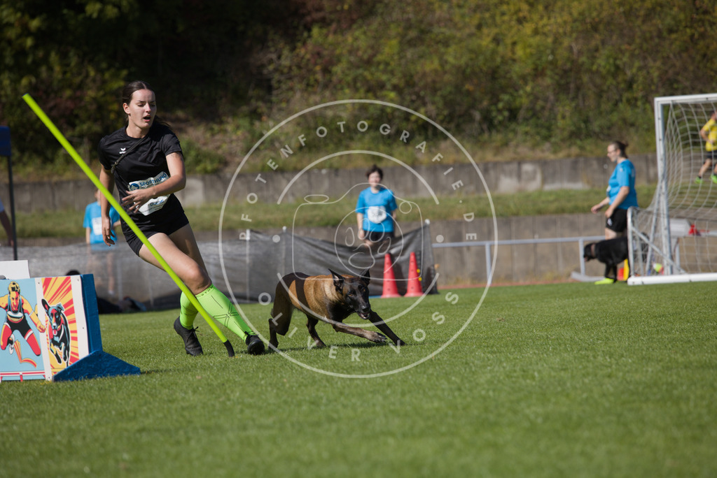 0L8A7492 | Hundefotografie, Tierfotograf, Pfotenfotografie, Fotoshooting Hund, Hunde Portrait, Hundesport, Hundeportraits, Heideshooting, Hunde, Sportfotograf, Hundefotograf, Turnierhundsport, THS,  - Realisiert mit Pictrs.com