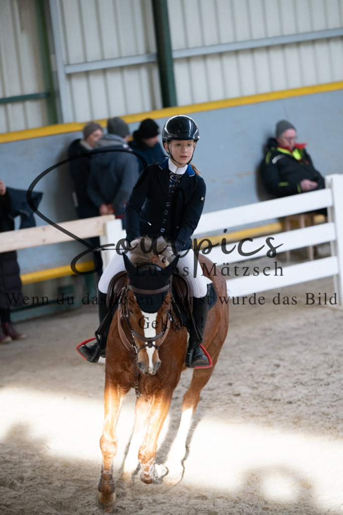 A7V01813 | Pferdefotograf