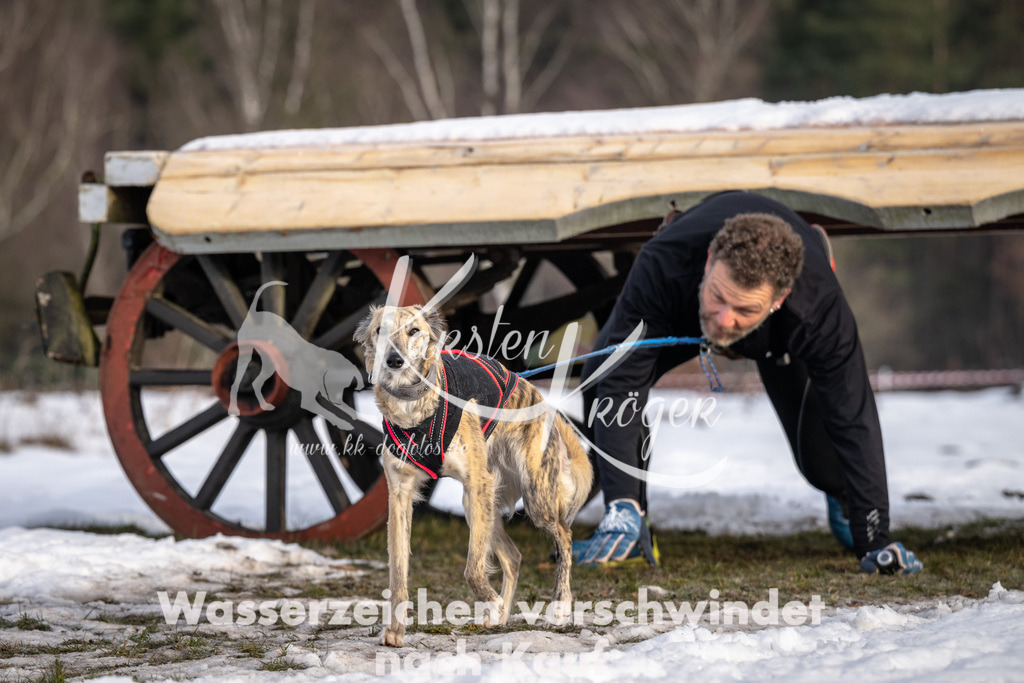 0818_ZZ91302-5 | kk-dogfotos