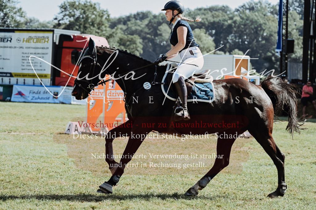 DSC_5987 | Pferde- und Turnierfotografie in Westsachsen. Pferdeportraits, Auftragszeichnungen und intuitive Kunst.