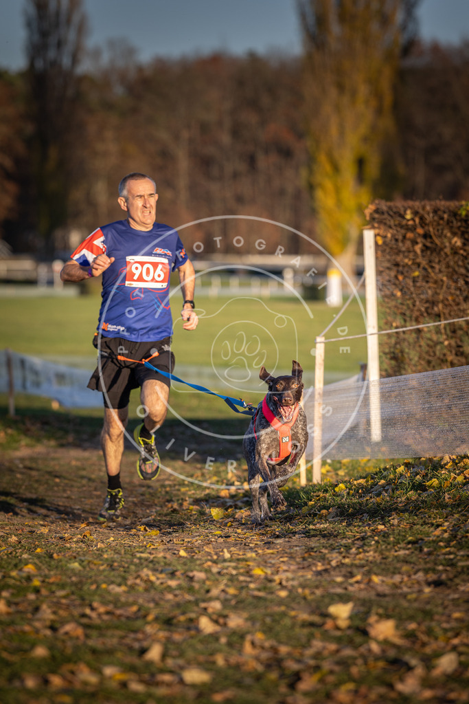 CaniXpix_DV3A4717 | Hundefotografie, Tierfotograf, Pfotenfotografie, Fotoshooting Hund, Hunde Portrait, Hundesport, Hundeportraits, Heideshooting, Hunde, Sportfotograf, Hundefotograf, Turnierhundsport, THS,  - Realisiert mit Pictrs.com