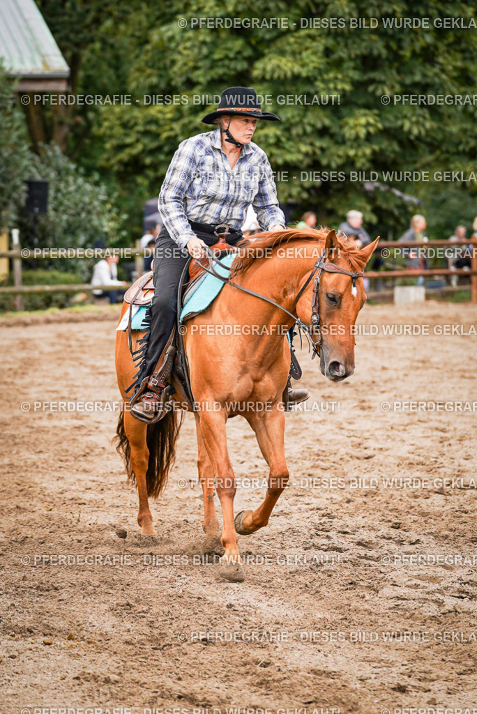 DSC08594 | Pferdegrafie