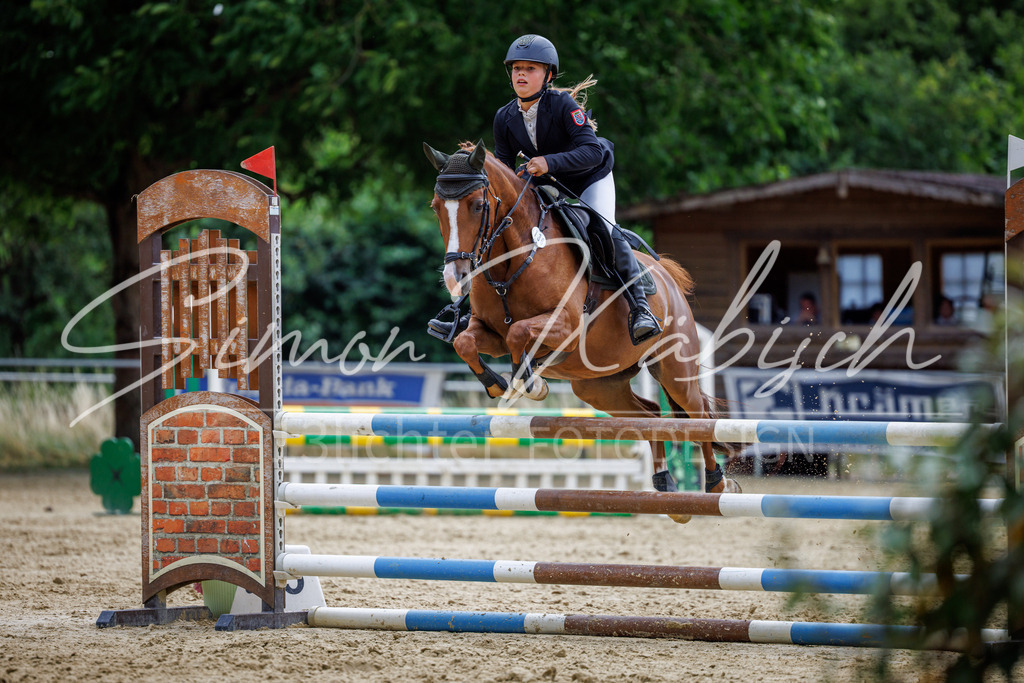 20260705-_3LI5442 | Tierfotografie Pferde, Hunde, Katzen, Haustiere.
Turnierfotografie Reitturniere, Reiten, Springreiten, Dressur in Hanau, dem Main-Kinzig-Kreis und dem Rhein-Main- Gebiet um Frankfurt