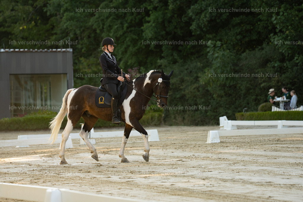 WA_DR_115_SinaFilmArt_IN00127 | working equitationturnier fotograf videograf stoibphotography marixx film working equitation deutschland reitsport turnierfotografie eventfotografie equestrian events