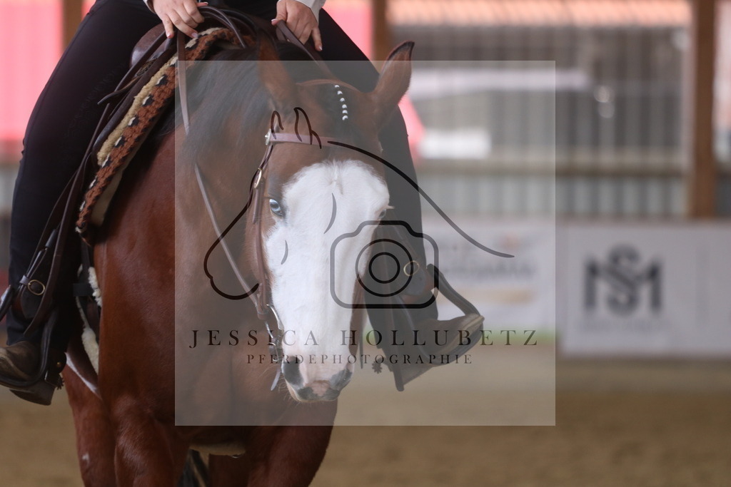 IMG_7240 | jessicahollubetz_pferdephotographie - Realisiert mit Pictrs.com