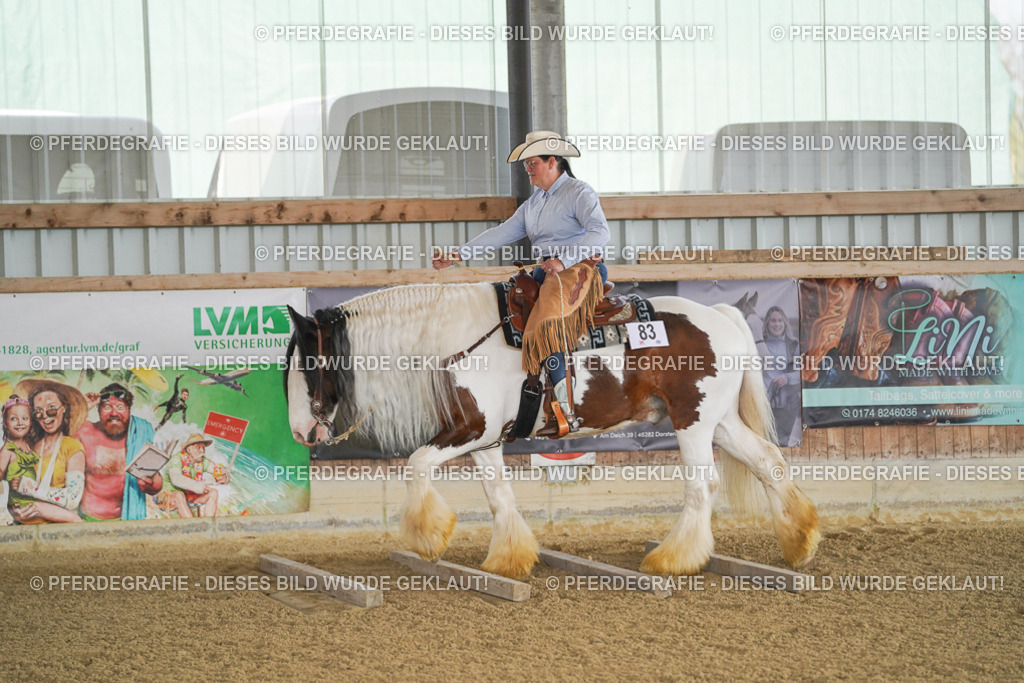 DSC02668 | Pferdegrafie