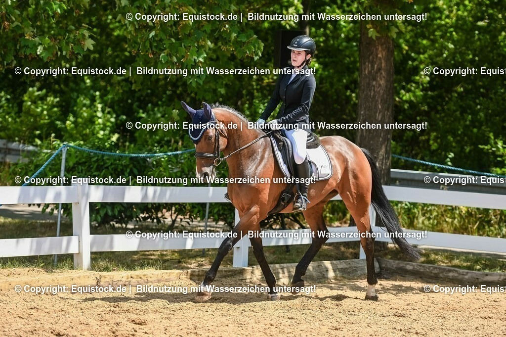 20230715_09_Dressur-WB_0460 | equistock