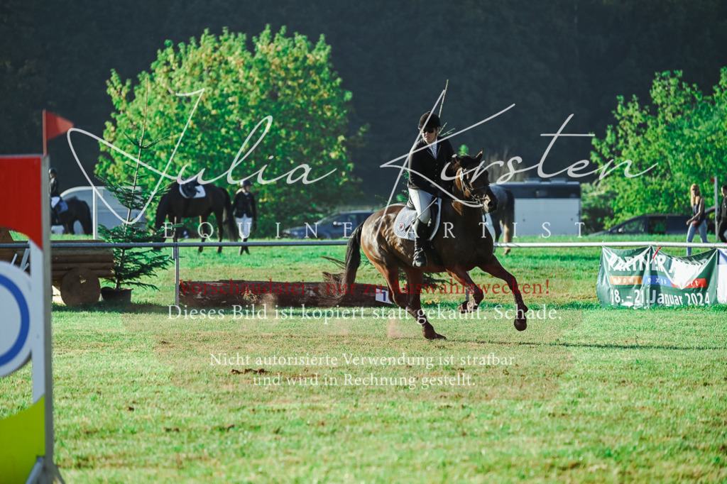 DSC_4360 | Pferde- und Turnierfotografie in Westsachsen. Pferdeportraits, Auftragszeichnungen und intuitive Kunst.
