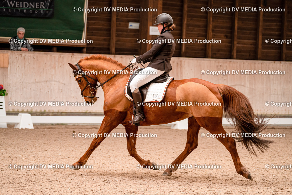 Dressur Tag 2-240 | dv-media-shop - Realisiert mit Pictrs.com