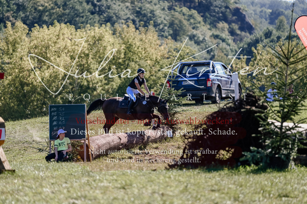 DSC_3264 | Pferde- und Turnierfotografie in Westsachsen. Pferdeportraits, Auftragszeichnungen und intuitive Kunst.