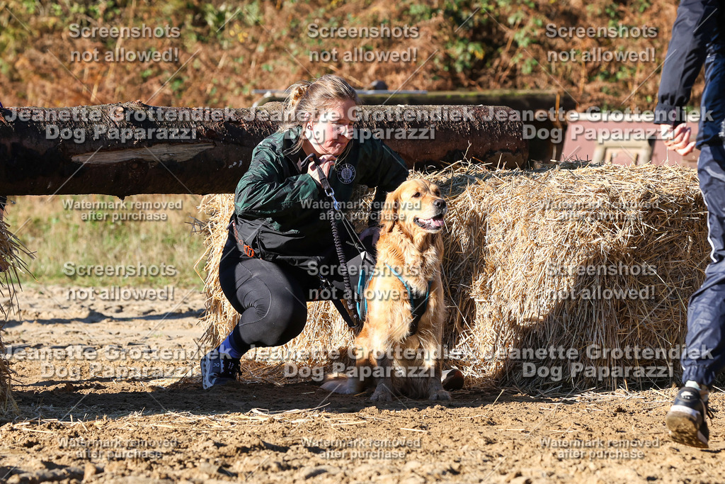 Dog Paparazzi - Strongdog 10-25-1543 | Dog Paparazzi Jeanette Grottendiek Fotografie & Videografie - Realisiert mit Pictrs.com